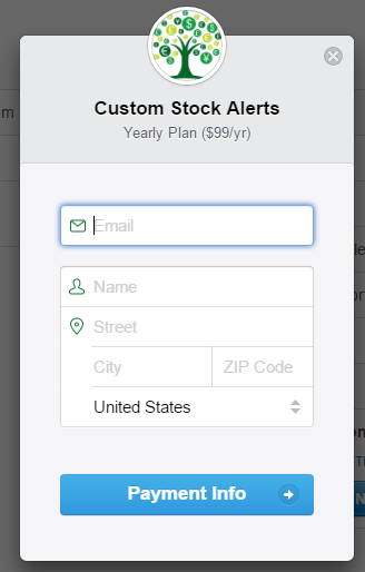 Stripe payment window
